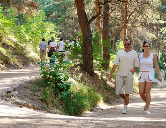 Терренкур - Оздоровительные услуги - Санаторий «им. Горького» Кисловодск
